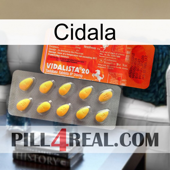 Cidala new01.jpg